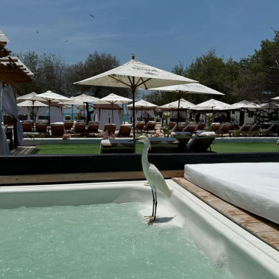 Captura de pantalla 2024-05-04 a la(s) 1.43.40 p.m.