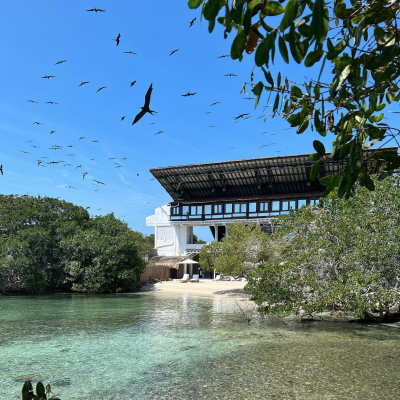 Captura de pantalla 2024-05-04 a la(s) 1.44.56 p.m.