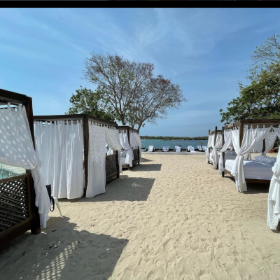 Captura de pantalla 2024-05-04 a la(s) 11.54.42 a.m.