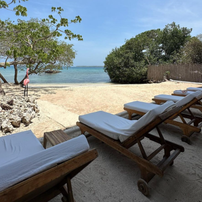 Captura de pantalla 2024-05-04 a la(s) 12.22.46 p.m.